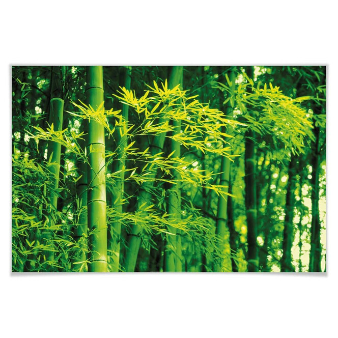 Giant Art® XXL-Poster Bamboo in Spring - 175x115cm - Bild 1