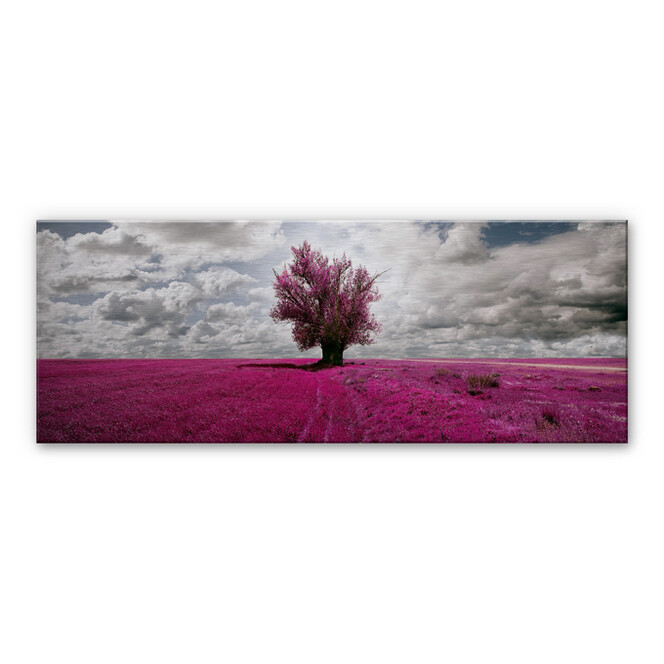 Alu-Dibond Bild The Lonely Tree - Panorama