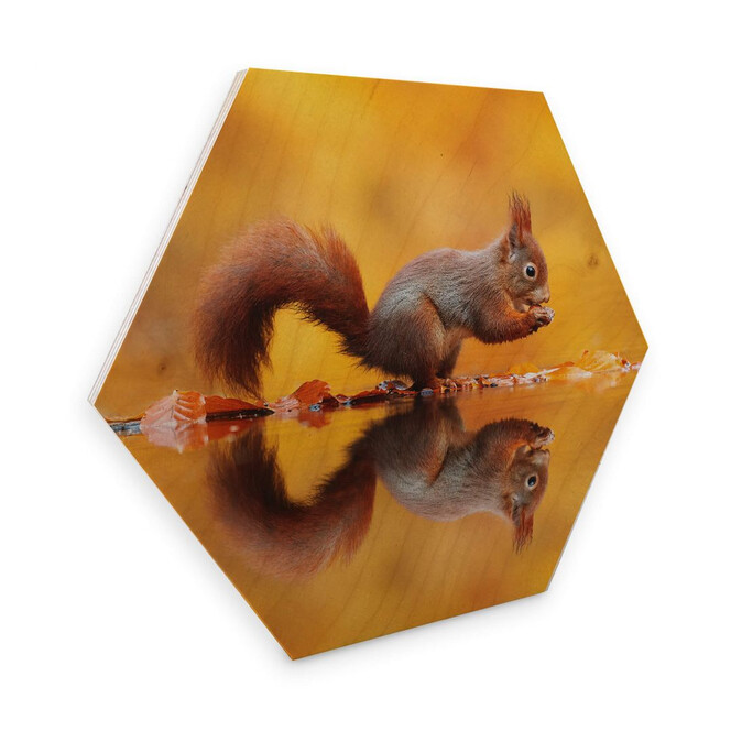 Hexagon - Holz Birke-Furnier van Duijn - Eichhörnchen mit Nuss