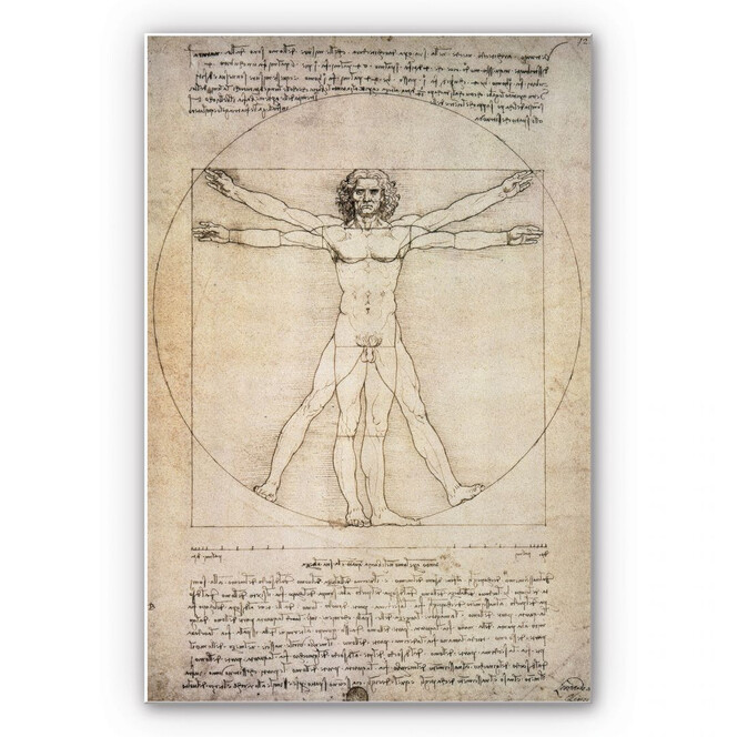 Hartschaumbild Da Vinci - Proportionszeichnung