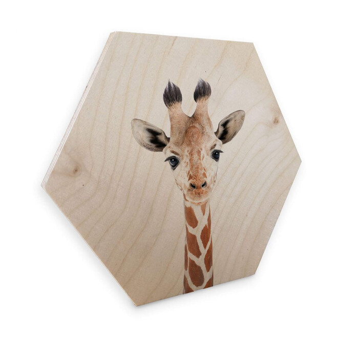 Hexagon - Holz Sisi & Seb - Baby Giraffe