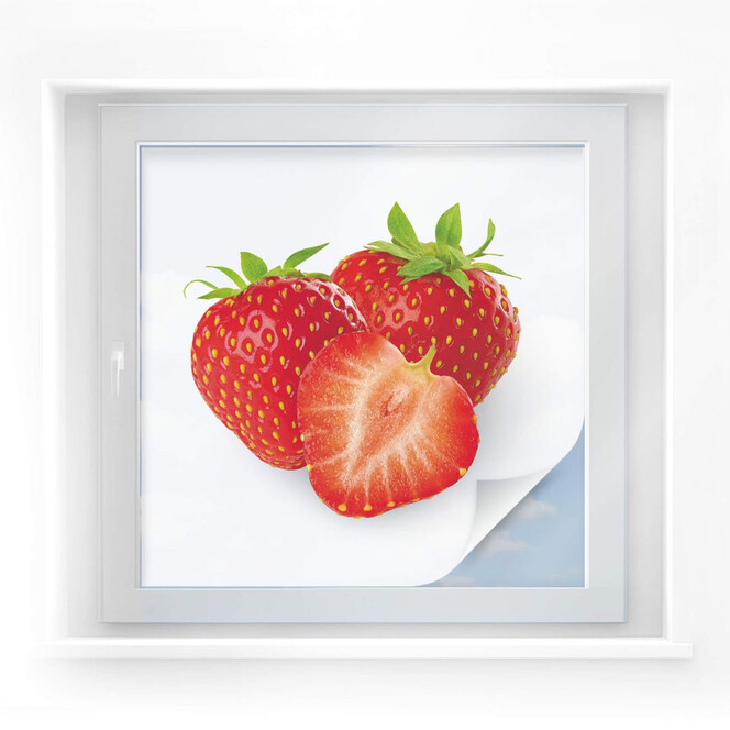 Sichtschutzfolie Strawberries - quadratisch