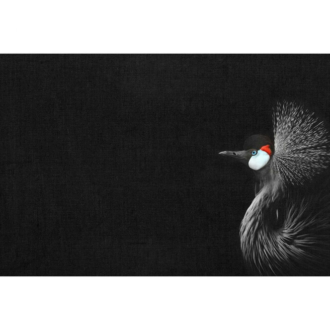 Livingwalls Fototapete ARTist Crowned Crane Black mit Kronenkranich rot, schwarz, weiss - Bild 1
