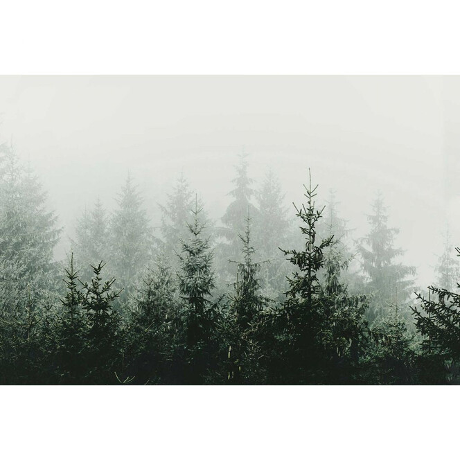 Livingwalls Fototapete ARTist Mountain Forest mit Wald grau, grün - Bild 1