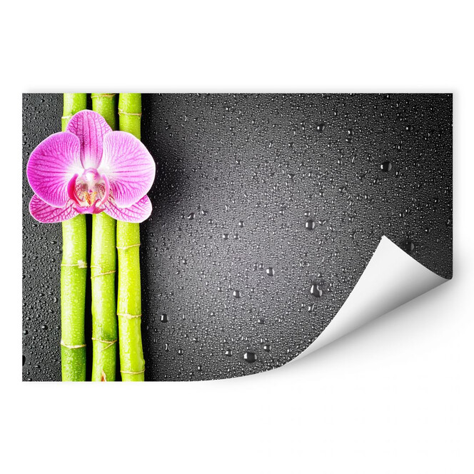 Wallprint Orchid and Bamboo