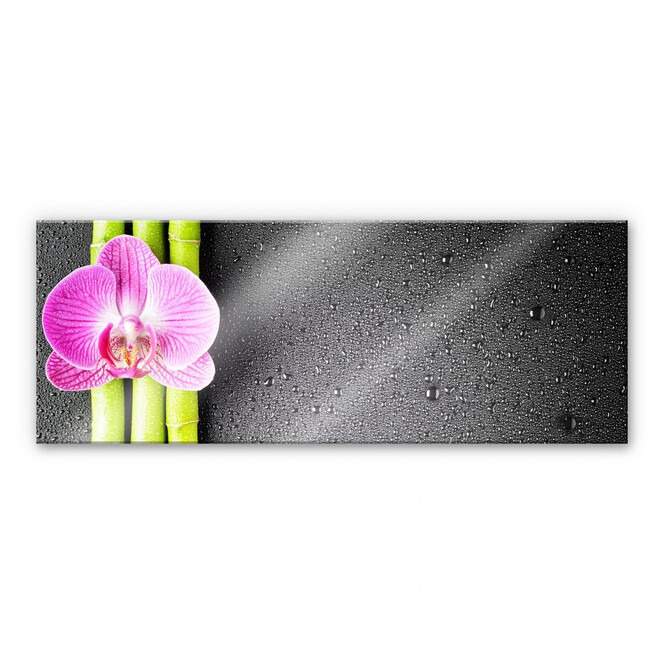 Acrylglasbild Orchid and Bamboo - Panorama (horizontal)