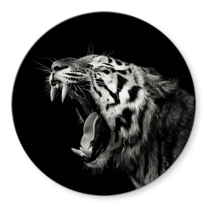 Glasbild Meermann - Der Tiger - Rund