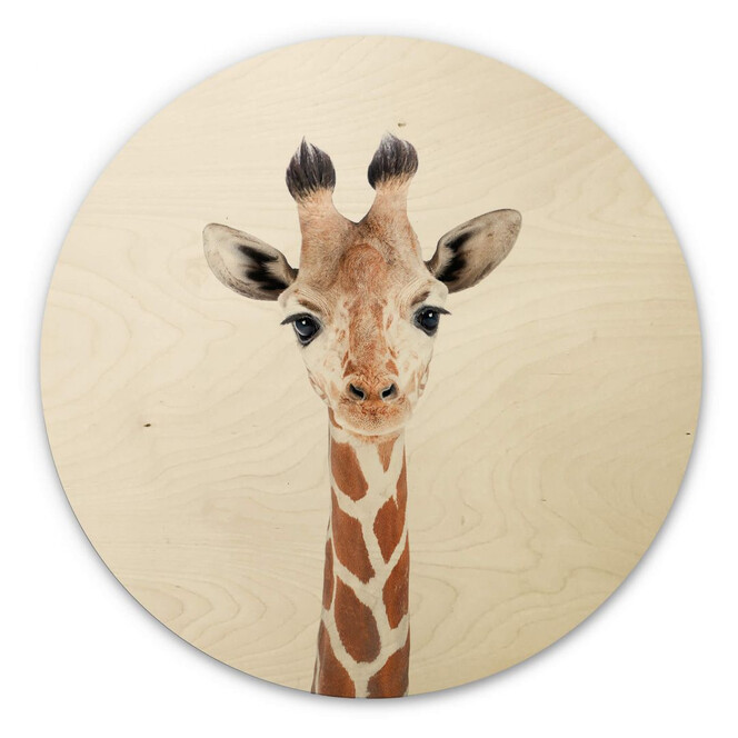 Holzbild Sisi & Seb - Baby Giraffe - Rund