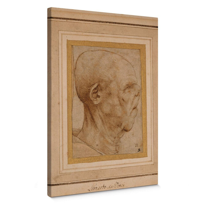 Leinwandbild da Vinci - Karikatur eines Männerkopfes im Profil
