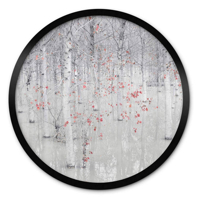 Poster Carozzi - Weisser Birkenwald mit roten Blättern - Rund