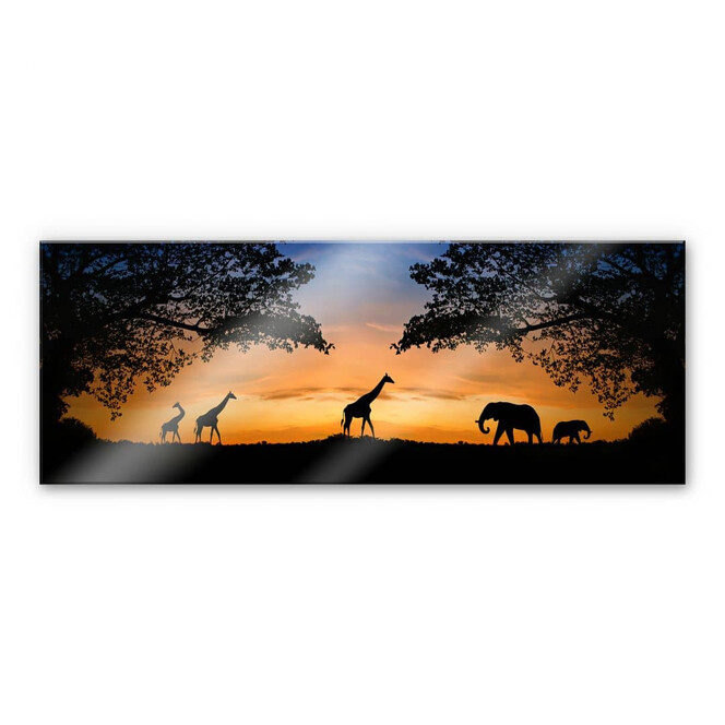 Acrylglasbild African Sunset