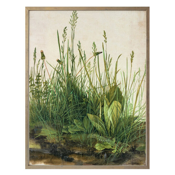 Poster Dürer - Das grosse Rasenstück