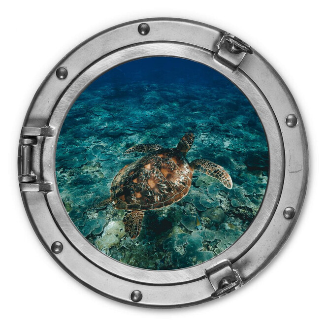 Alu-Dibond 3D Optik - Schildkröte von oben - Rund