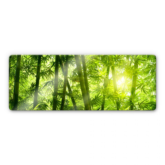 Glasbild Sonnenschein im Bambuswald - Panorama