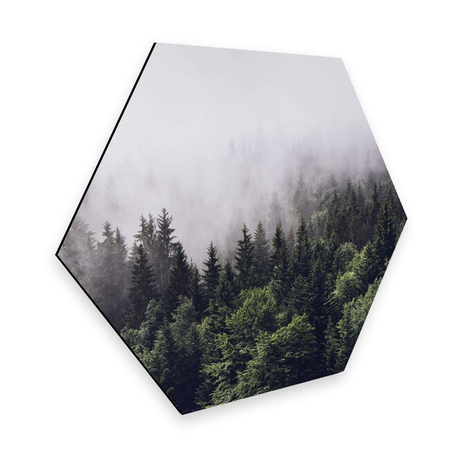 Hexagon - Alu-Dibond Nebliger Wald