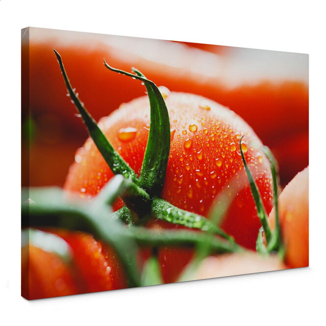 Leinwandbild Fresh Tomato
