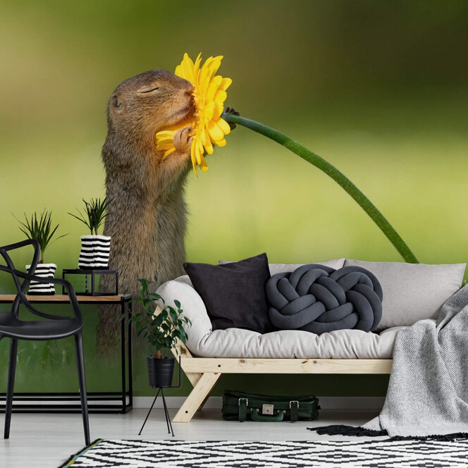 Fototapete van Duijn - Erdhörnchen riecht an Blume