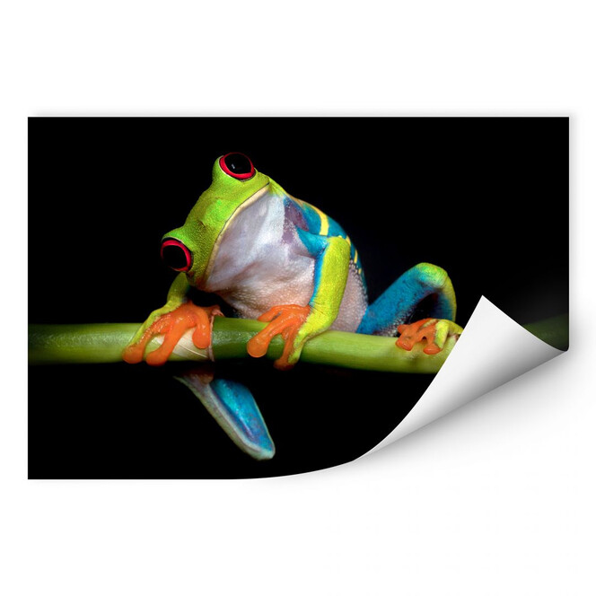 Wallprint Valverde - Green Frog