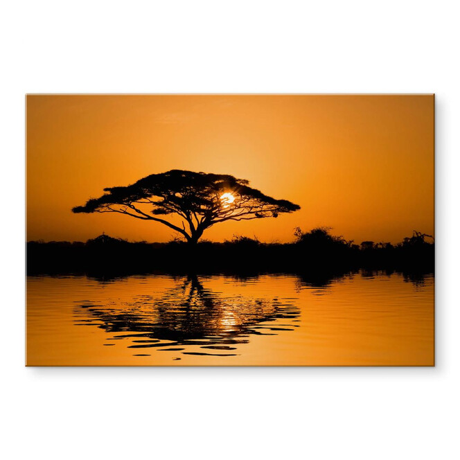 Acrylglasbild Afrika