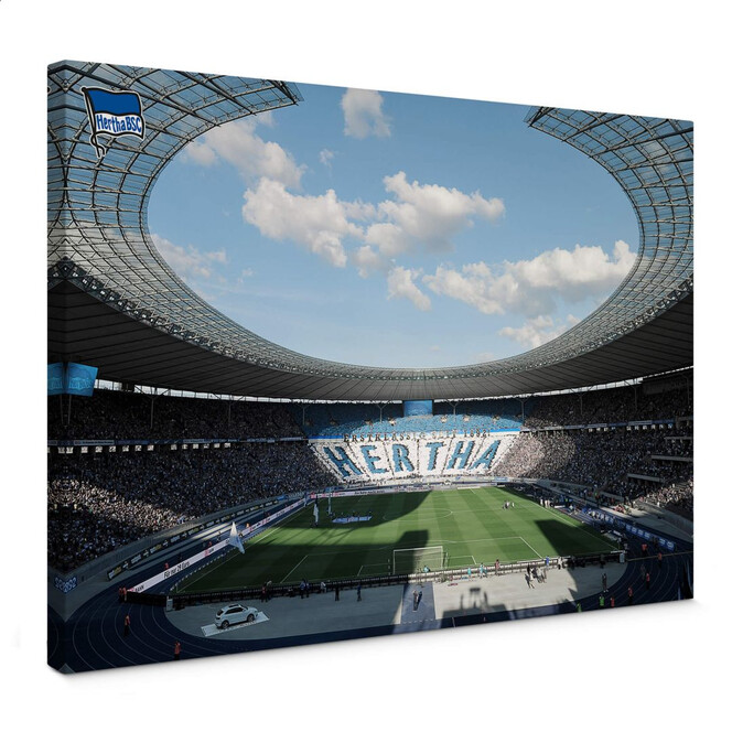 Leinwandbild Hertha BSC - Stadion am Tag