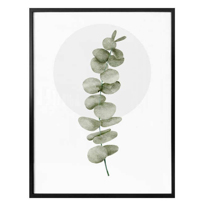 Poster Kubistika - Eukalyptus