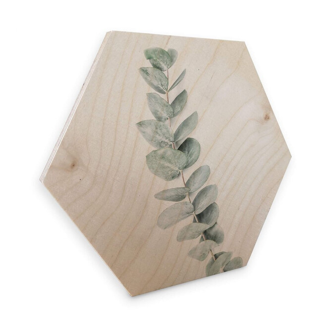 Hexagon - Holz Birke-Furnier - Sisi & Seb - Eukalyptus: Ein Zweig