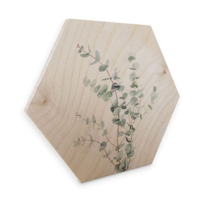 Hexagon - Holz Birke-Furnier Sisi & Seb - Eukalyptuszweig
