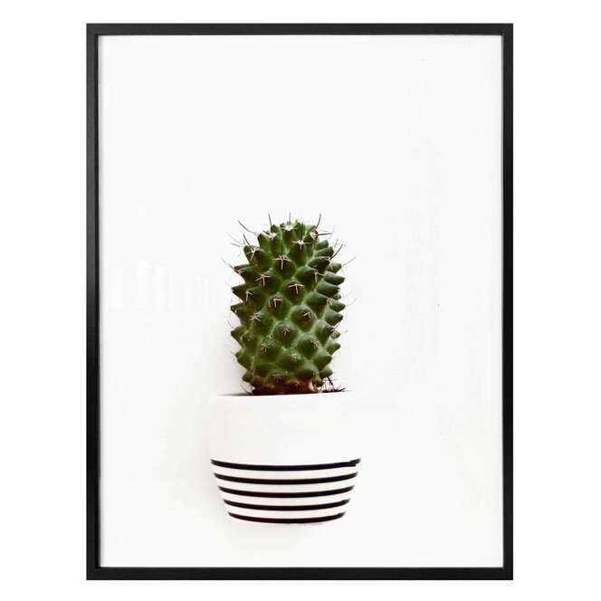 Poster Mein kleiner Kaktus - Solo