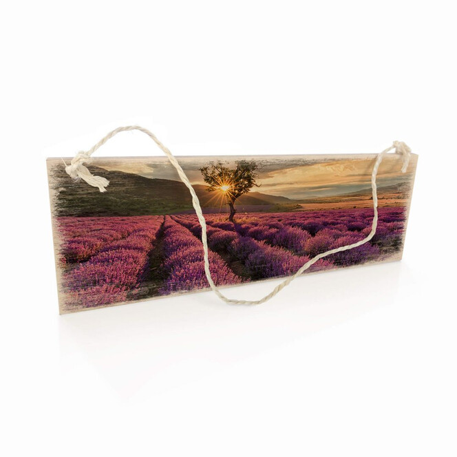 Holzschild Lavendelblüte in der Provence