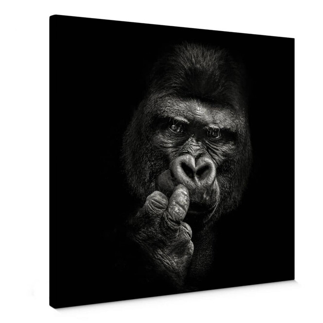 Leinwandbild Meermann - Der Gorilla - Quadratisch