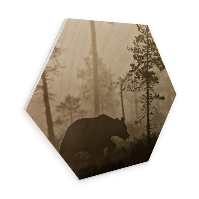 Hexagon - Holz Birke-Furnier - Ove Linde - Nebel am Morgen