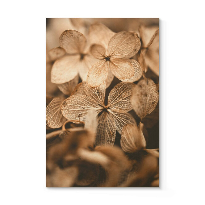 Holzposter Annie - Zarte Blüten