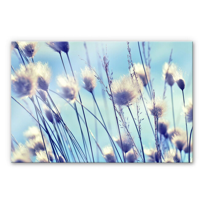 Acrylglasbild Delgado - Wind im Gras
