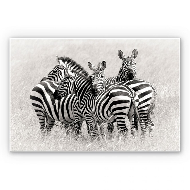 Wandbild Trubitsyn - Zebras in der Savanne