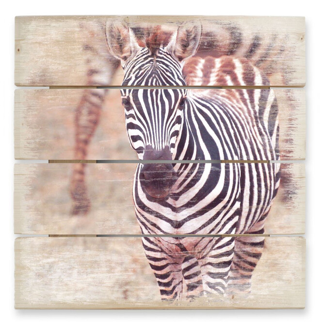 Holzbild Zebra Fohlen