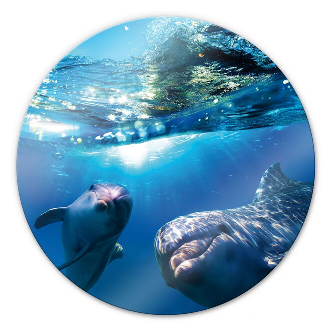 Glasbild Dolphins Underwater - rund
