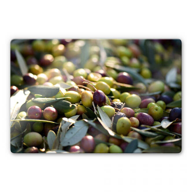 Glasbild Mediterrane Oliven