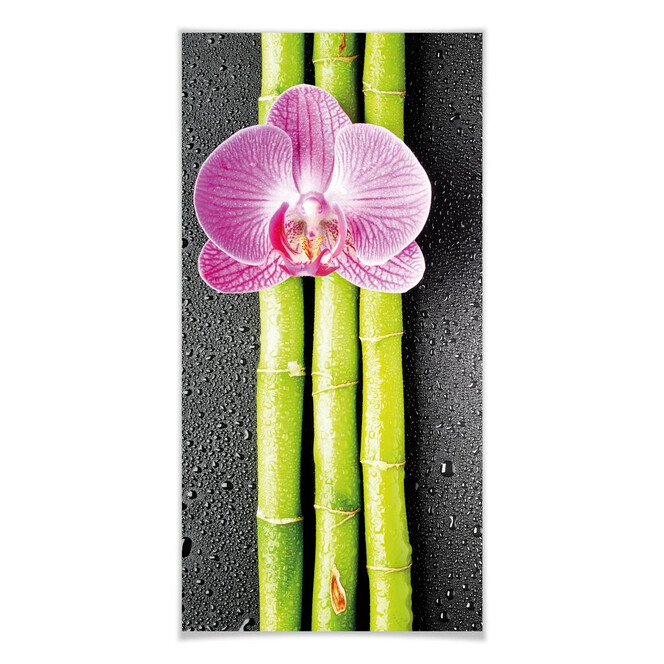 Poster Orchid and Bamboo - Panorama 01