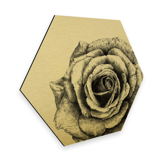 Hexagon - Alu-Dibond Goldeffekt Kools - Rose