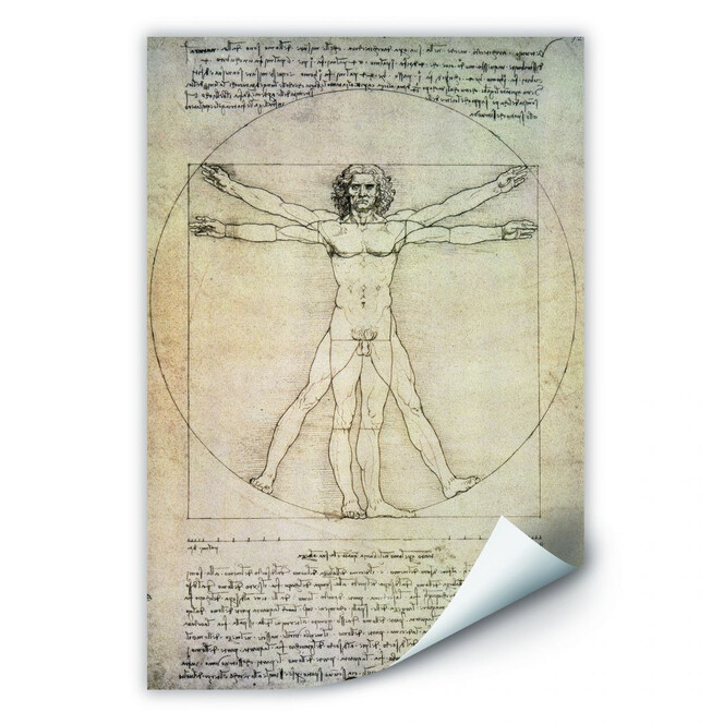 Wallprint Da Vinci - Proportionszeichnung