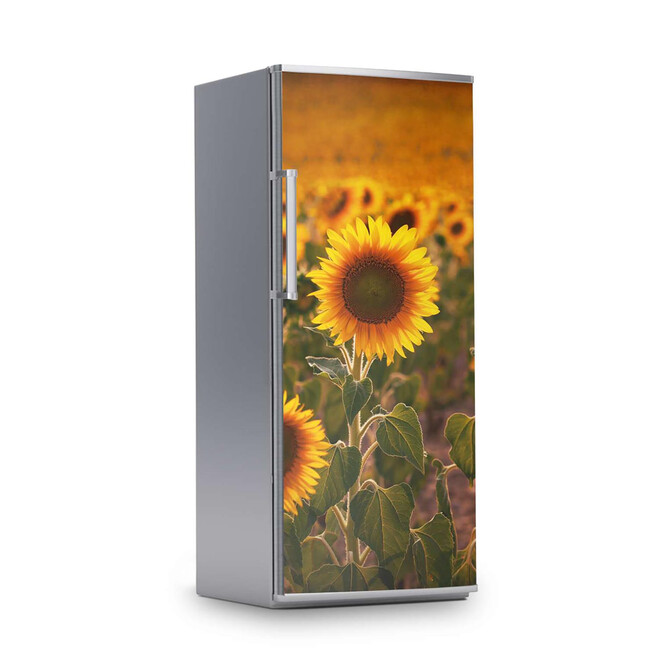 Kühlschrankfolie 60x150cm - Sunflowers- Bild 1
