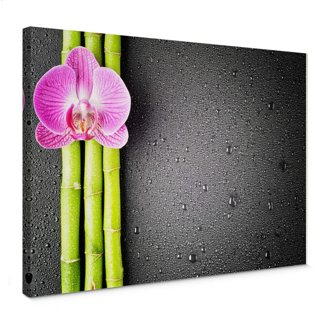 Leinwandbild Orchid and Bamboo