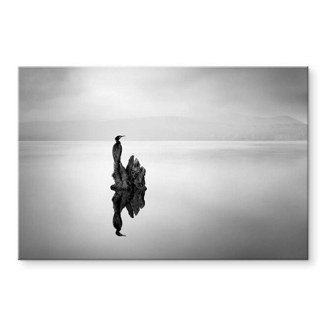 Acrylglasbild Digalakis - Eleganter Wasservogel