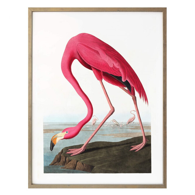 Poster Pink Flamingo