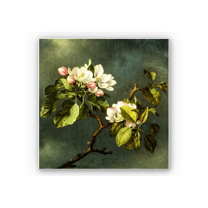Wandbild Heade - Apfelblüten