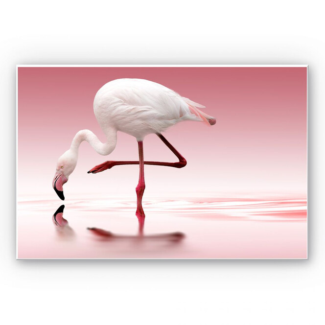 Wandbild Reindl - Pink Flamingo