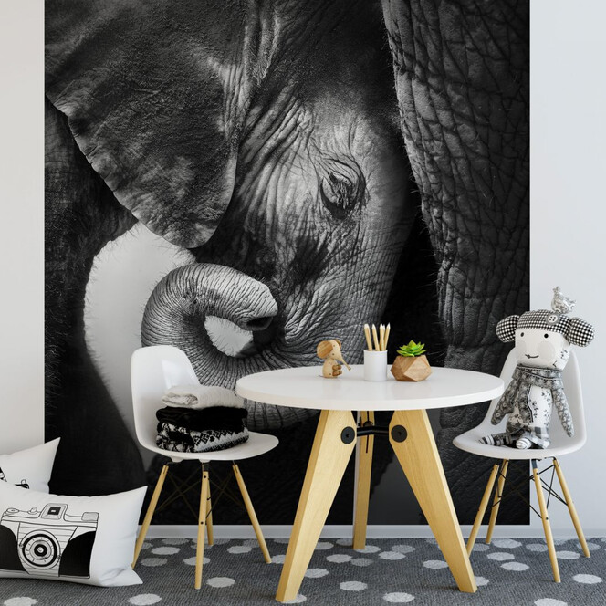 Fototapete - Das Elefantenbaby - 240x260cm - Bild 1