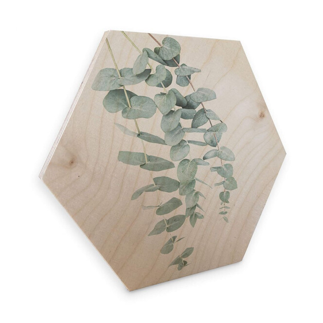 Hexagon - Holz Birke-Furnier - Sisi & Seb - Eukalyptus: Mehrere Zweige