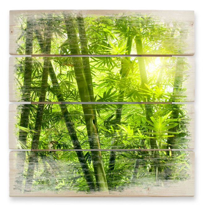 Holzbild Sonnenschein im Bambuswald
