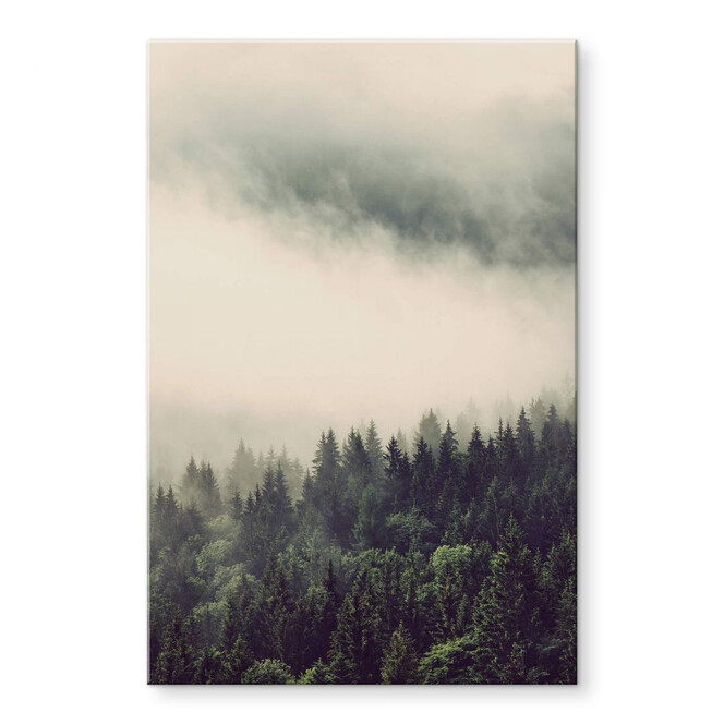 Acrylglasbild Nebel im Wald 02